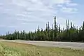 In McNallie Creek Territorial Park.mw-parser-output .geo-default,.mw-parser-output .geo-dms,.mw-parser-output .geo-dec{display:inline}.mw-parser-output .geo-nondefault,.mw-parser-output .geo-multi-punct{display:none}.mw-parser-output .longitude,.mw-parser-output .latitude{white-space:nowrap}60°46′37.9″N 116°34′25″W﻿ / ﻿60.777194°N 116.57361°W﻿ / 60.777194; -116.57361