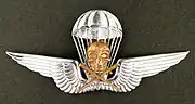 Royal Hungarian Army Parachutist Badge oxidized version