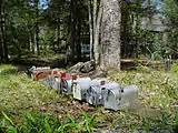 Mailboxes, Elkmont, TN, April 15, 2004