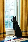 Major in the Oval Office in January 2021.