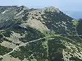 Chleb