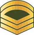 ސާރޖަންޓް ފަސްޓް ކްލާސްSaarjant fast klaas(Maldives National Defence Force)
