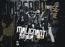 Band photo, 2013