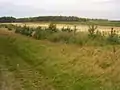 Mander circles