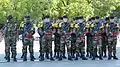 Troupes de marine on parade