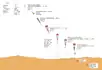 Diagram of landing prodedures of Mars Polar Lander as it would pass through the atmosphere and land on the surface.