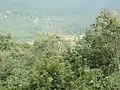 Healing Flora of Amarkantak, Madhya Pradesh