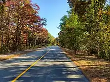 A paved road in a rural area