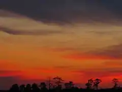 Sunset over the marsh in St. Marys