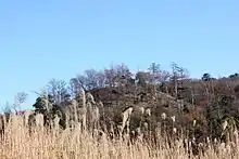 Mendorinagayama Kofun