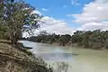 Darling River at Menindee, 2009
