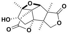 Skeletal structure of merrilactone A