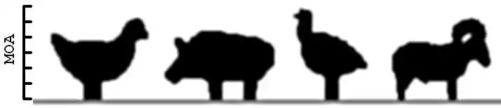 Metallic silhouette targets featuring a chicken, pig, turkey and ram, scaled to appear as they would if placed at the correct distances from the shooter. Scale in minutes of angle, correct for NRA high power rifle using yards.