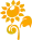 Yellow Line