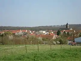 A general view of Metzeresche