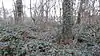 Ranston Covert