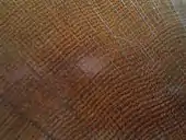 Cross section cut of an oak tree's trunk which reveals its growth rings