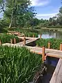 A yatsu-hashi bridge in the garden.