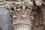 Acanthus leaves at the Hotel Molinier.