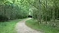 From the forest of Mollerup Skov.