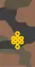 Mongolian Army-MAJ-field 1998-2011