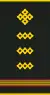 Mongolian Army-MSG-service 2003-2017