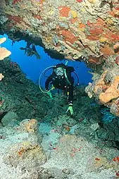 Diver in cave