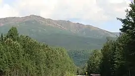 Mont Albert, in the Chic-Choc Mountains of the Gaspé Peninsula.