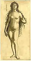 Venus
