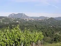 Montefalcione