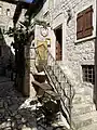 Montenegrin Orthodox Church