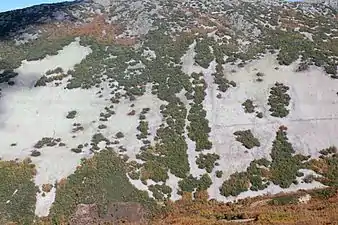 Scree slopes in the Montes de Toledo