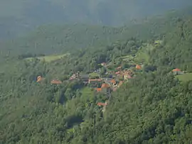 A general view of Montferrer