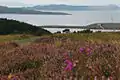 The view from Fairlie Moor road across to Arran.