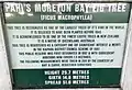 Signboard in front of the Pahi Moreton Bay fig