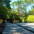 Rock garden