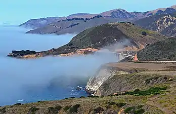 Morning fog