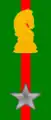 28th (PSYOPS) Regiment "Pavia"