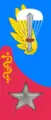 Airborne troops medical officer