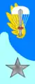 Airborne troops veterinarian