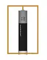 Homopolar motor 2D