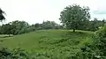 Motte-and-bailey of Blaison, before the castle