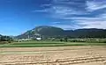 From Maibara