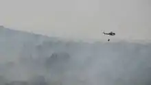 Cyprus Police Aviation Unit Bell 412EP participating in fire fighting efforts in Israel, during the 2010 Mount Carmel forest fire