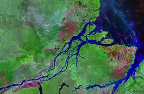 Image 6The Amazon River in Brazil. (from Ecoregion)