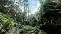 Fire trail on the Genowlan Mesa