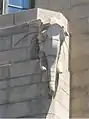 Elephant (6th level)