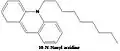 Structure of NAO
