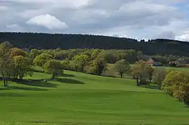 valley east of Noyant-d'Allier