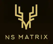 NS Matrix logo